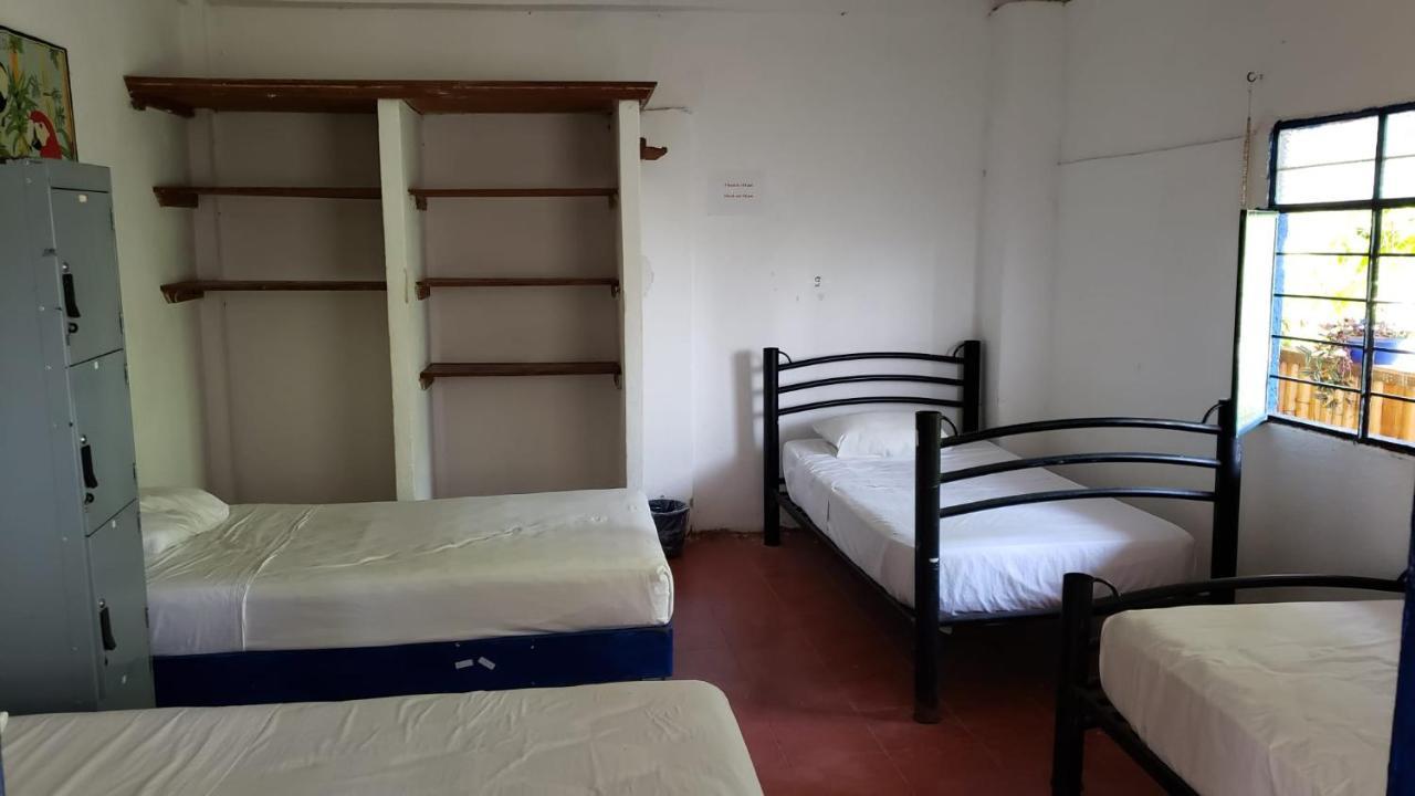 Mayflower Hotel & Hostal Puerto Escondido  Dış mekan fotoğraf