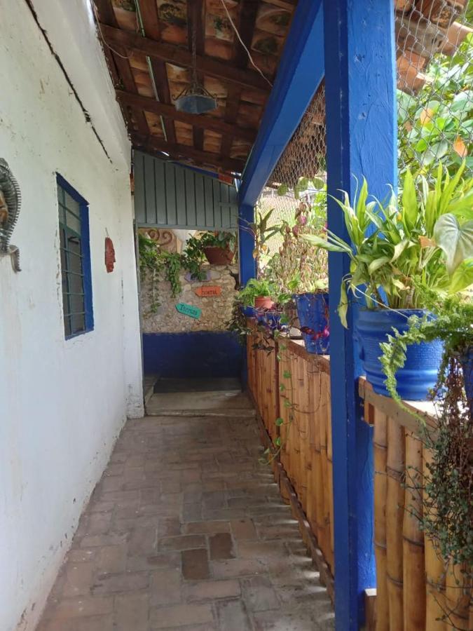 Mayflower Hotel & Hostal Puerto Escondido  Dış mekan fotoğraf