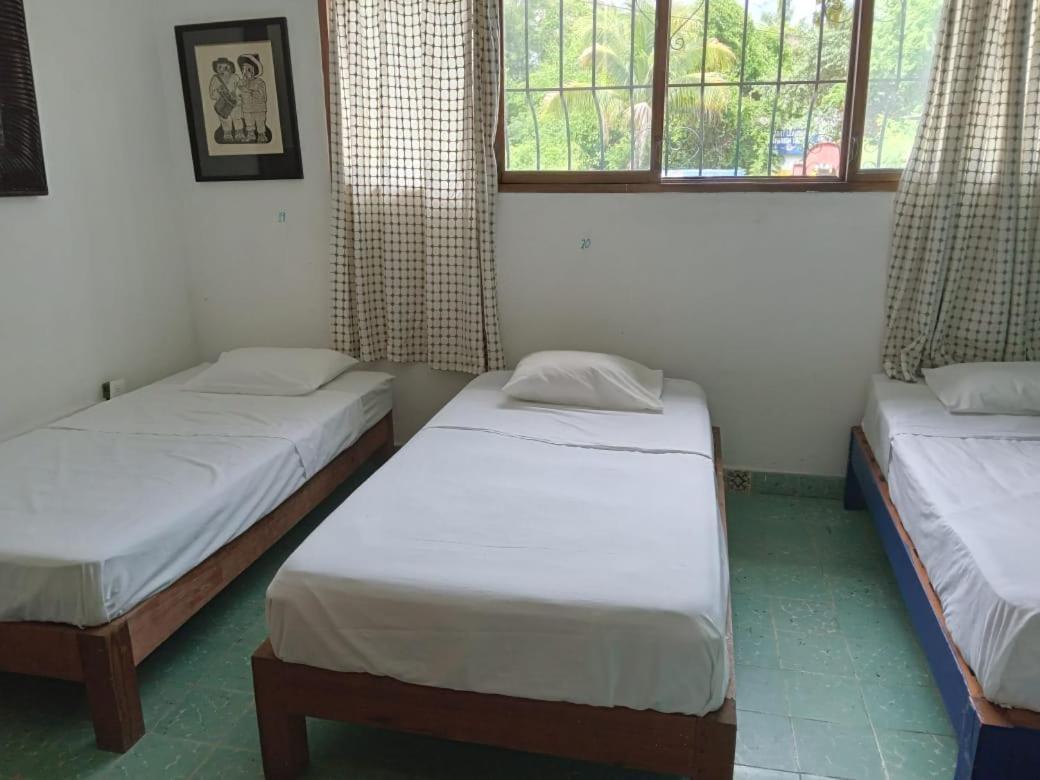 Mayflower Hotel & Hostal Puerto Escondido  Dış mekan fotoğraf